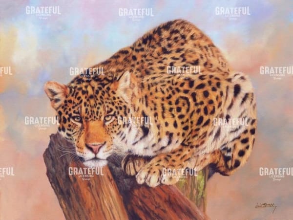 Jaguar on tree stump