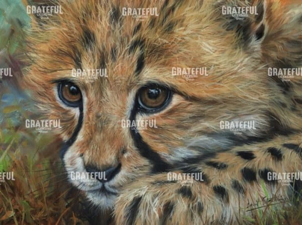 Cheetah Cub Close