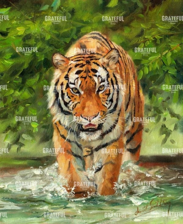 Tiger on the Prowl