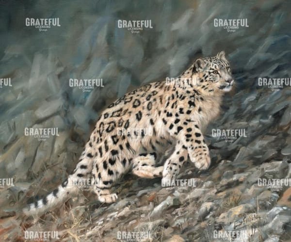 snow leopard climbing up