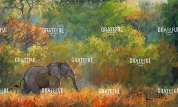 Elephant Trees