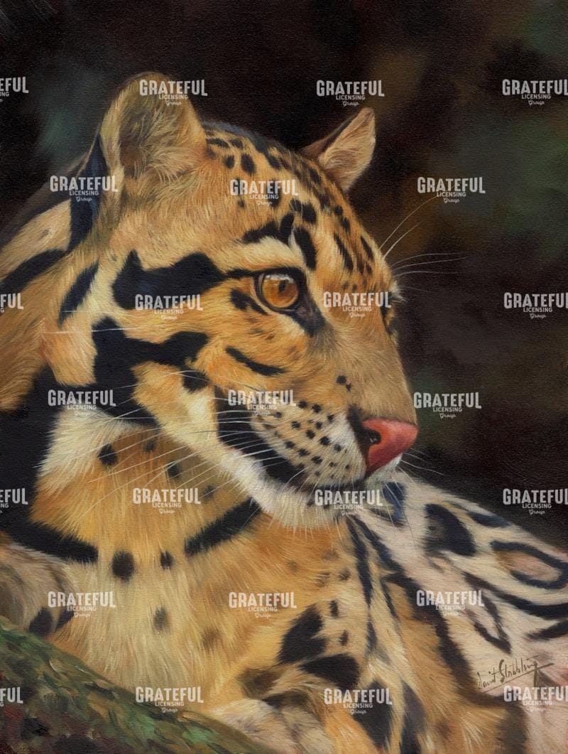clouded leopard portrait