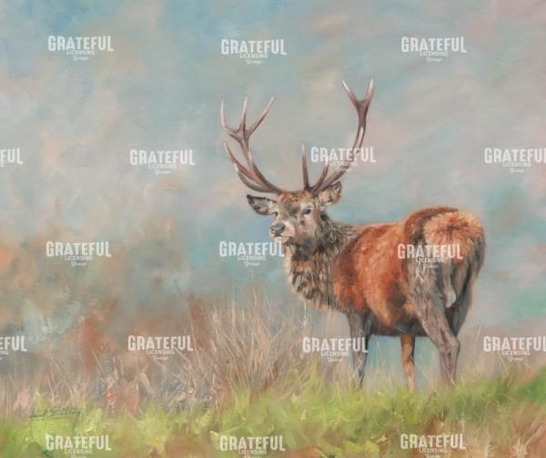 Red Deer Stag from behind