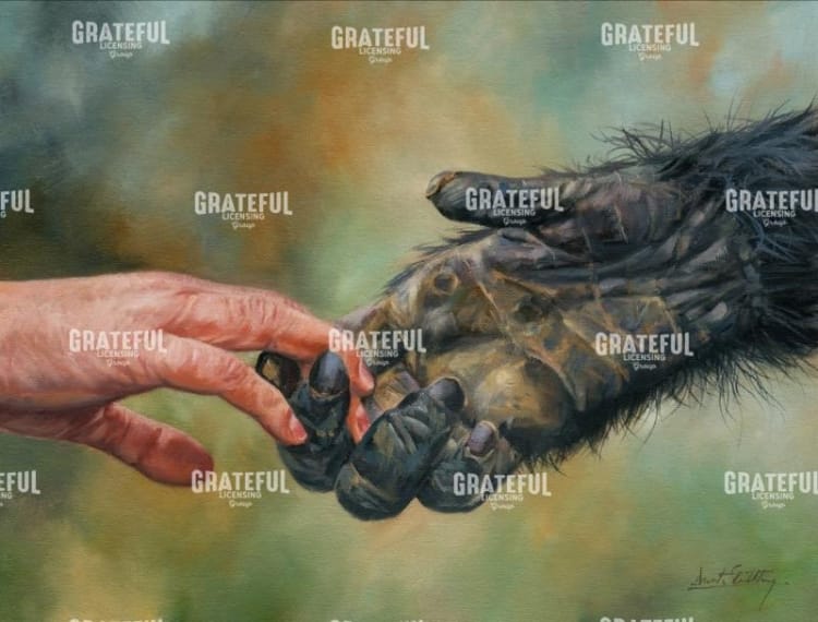 hands