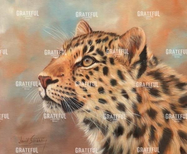 Leopard study 3