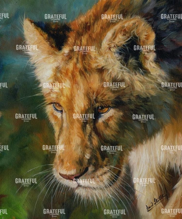 Lioness return