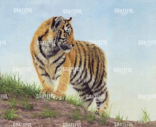 young tiger 10