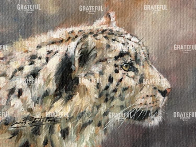 SNOW LEOPARD 86