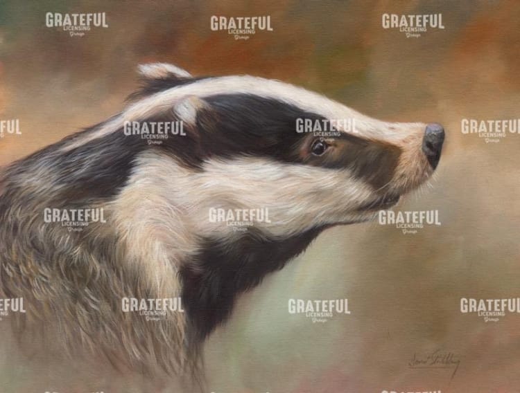badger study