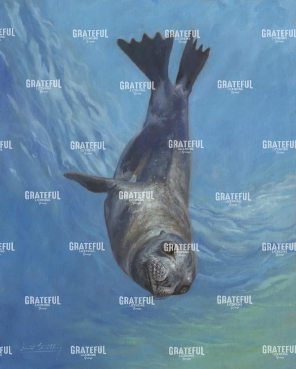 sealion hello
