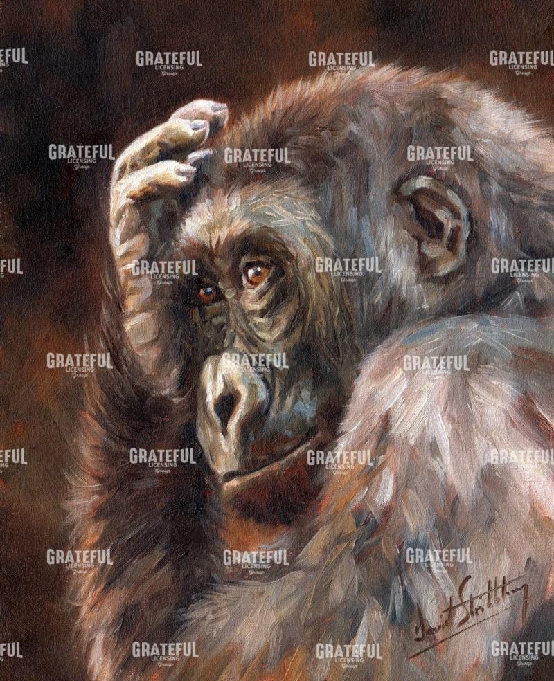 Gorilla contemplating