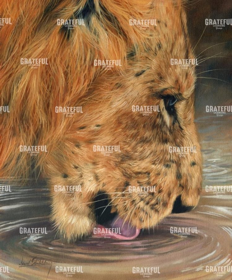 lion head drinking