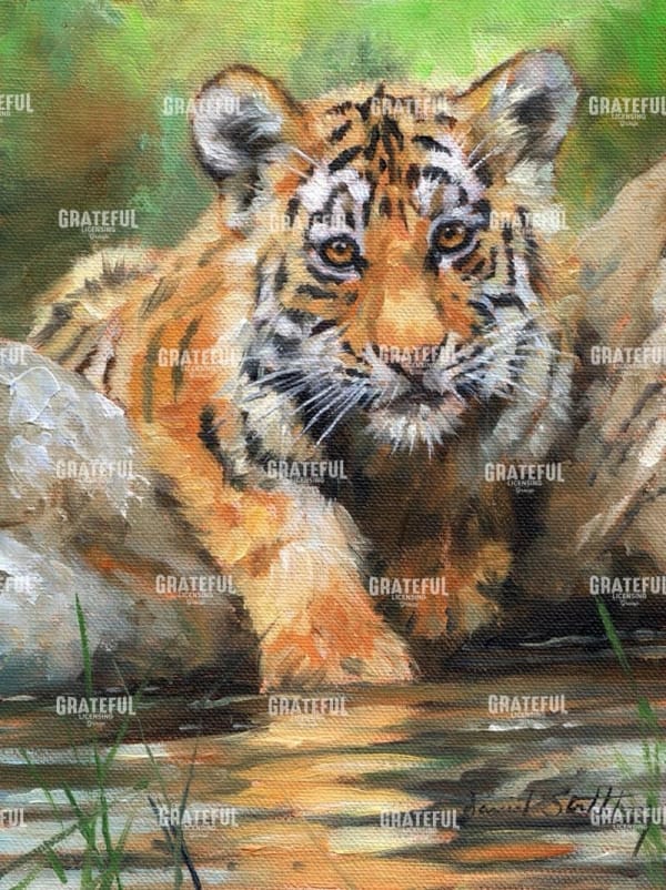 tiger cub water