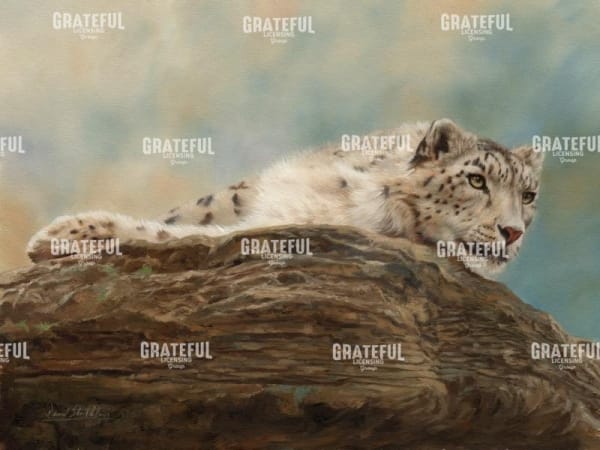 snow leopard 14