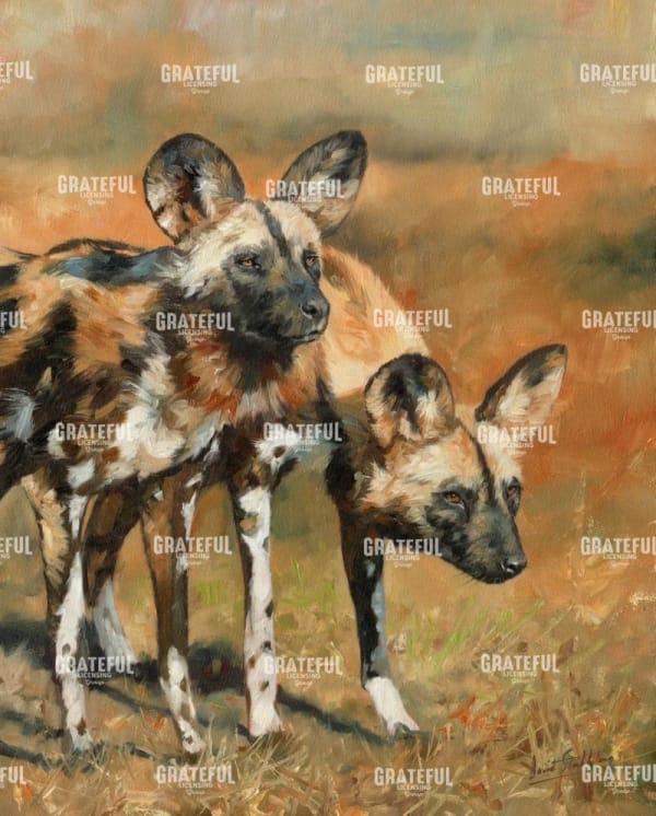 African Wild Dogs