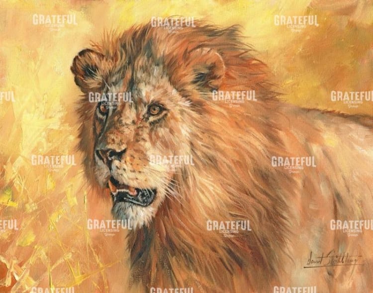 Mane Lion