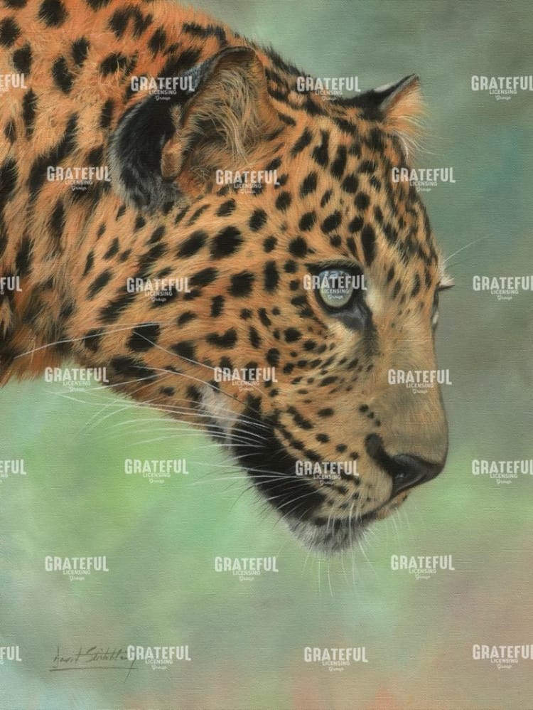 leopard profile