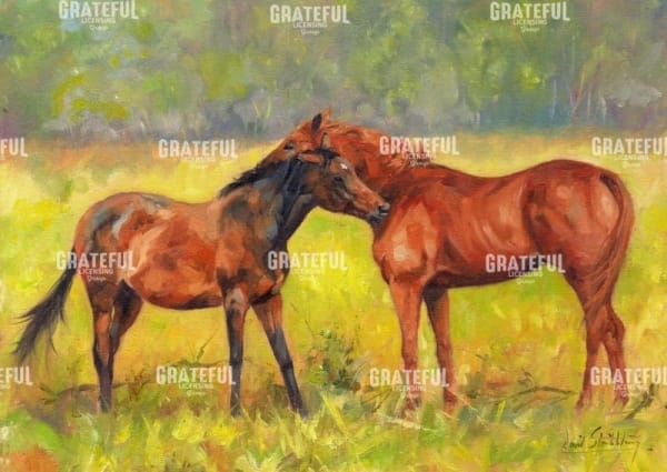 Horse Love