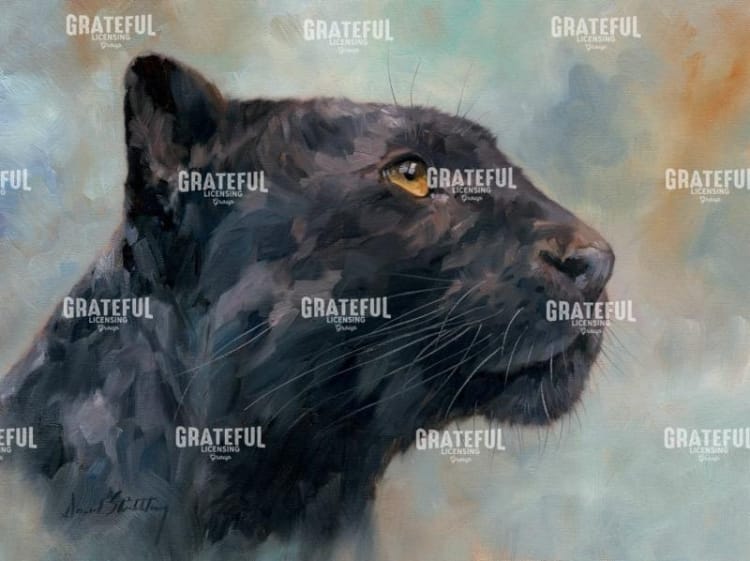 panther gaze up