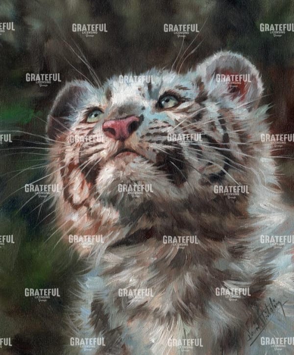white tiger cub portrait
