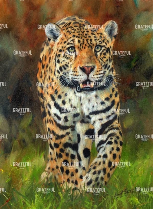 jaguar walk