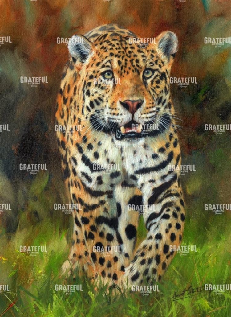jaguar walk