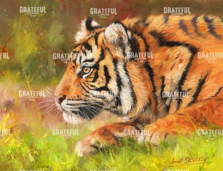 tiger study 10