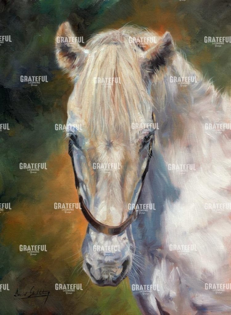 white horse