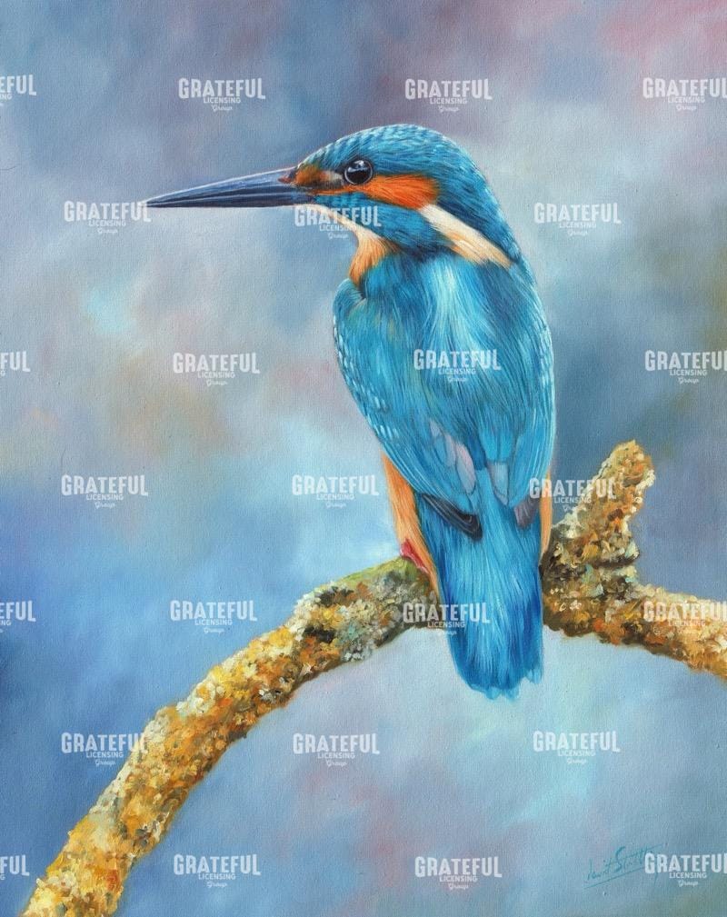 Kingfisher brilliant blue