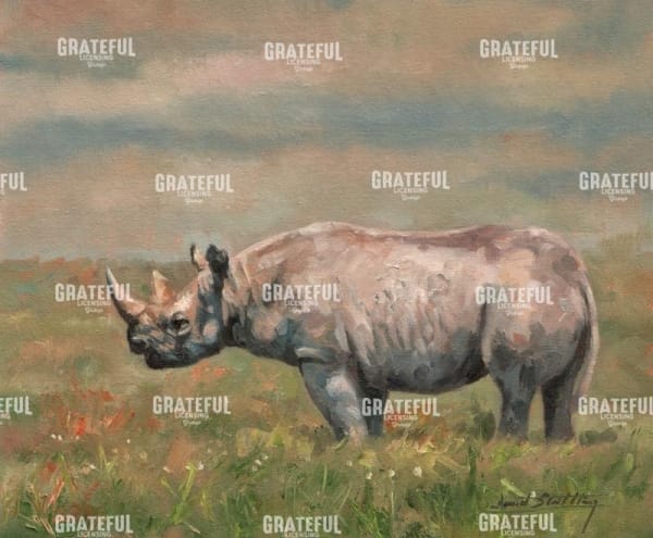 Black Rhino