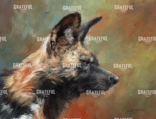 wild dog portrait