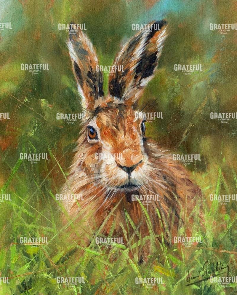 hare 2
