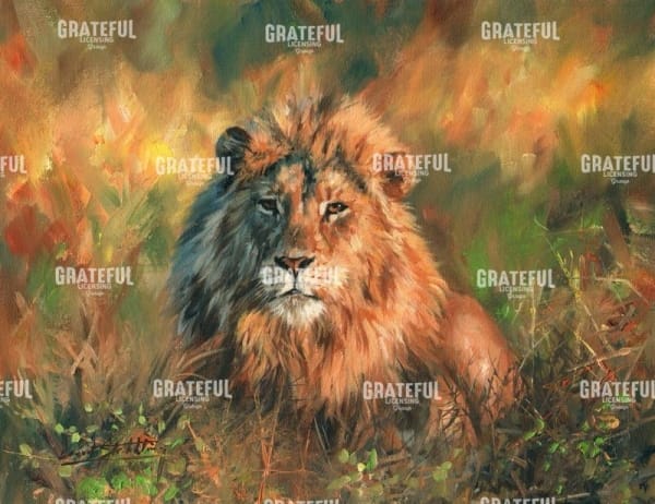 Lion at Sunset