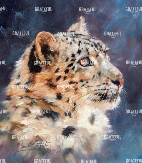 snow leopard portrait 2