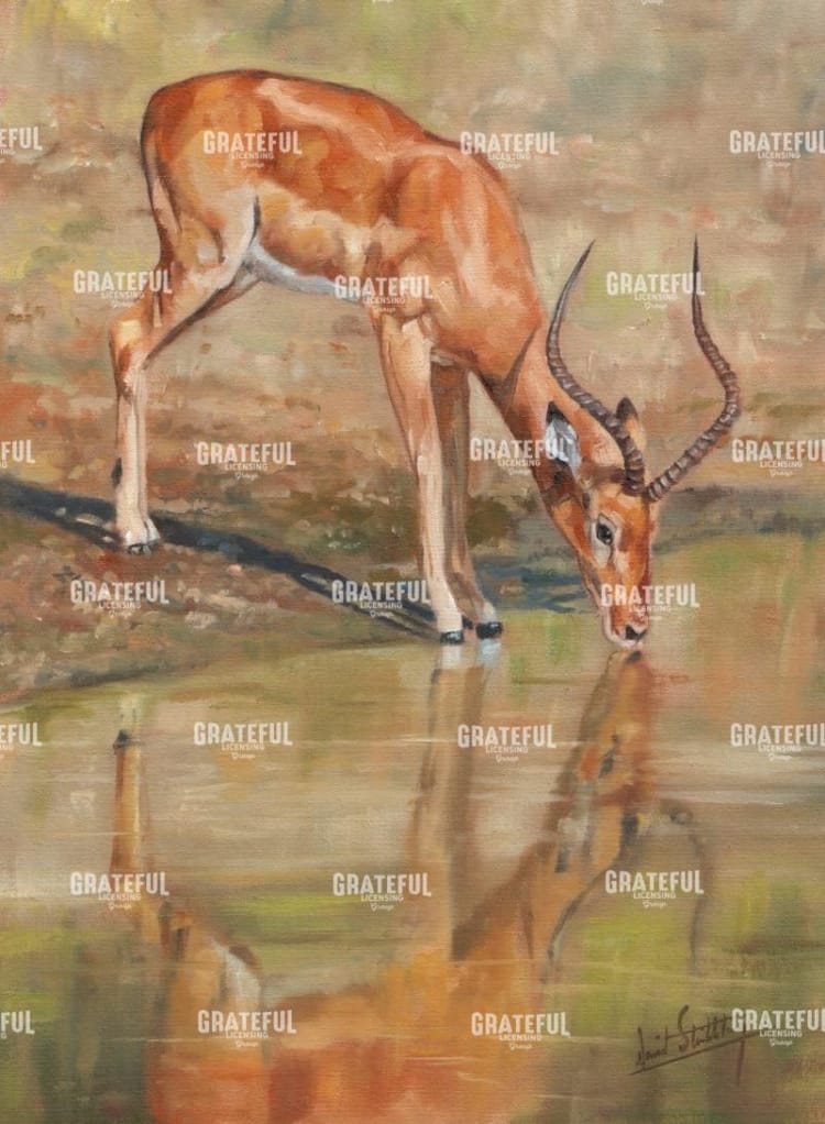 Kudu reflections