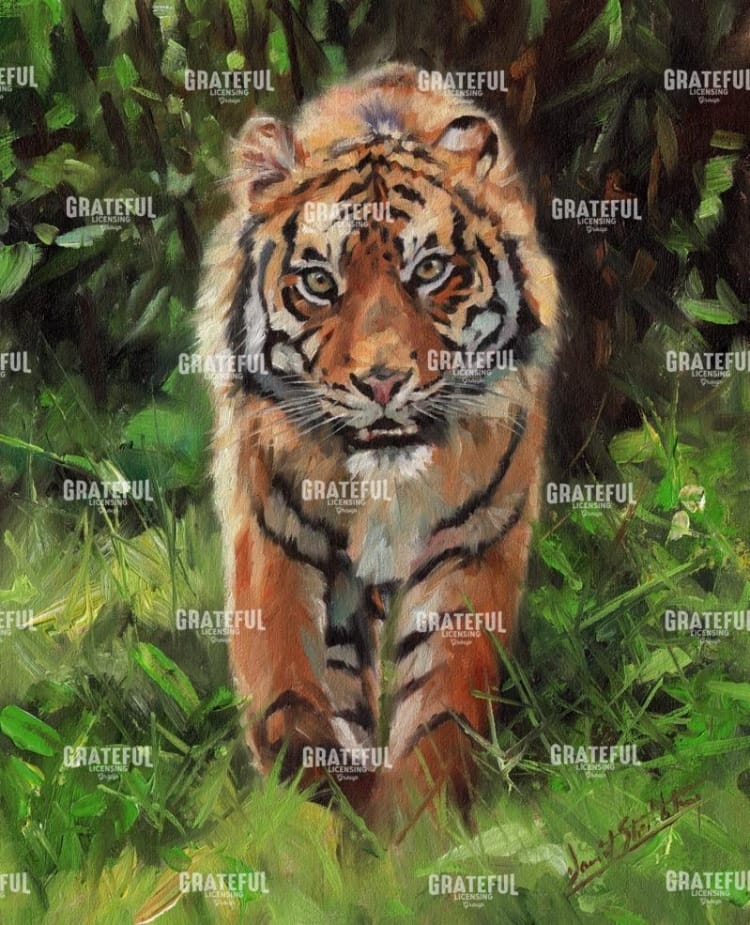 Tiger Prowling
