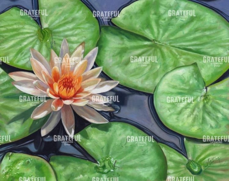 water lily