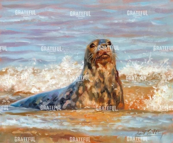 seal
