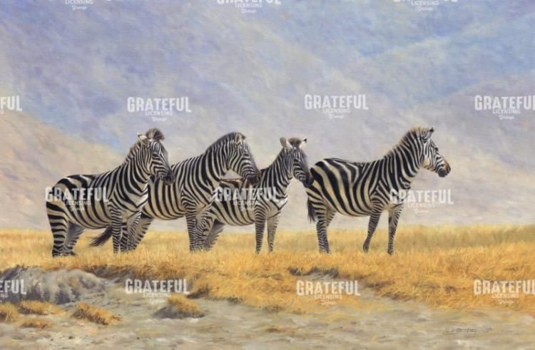 Zebras Ngorongoro Crater