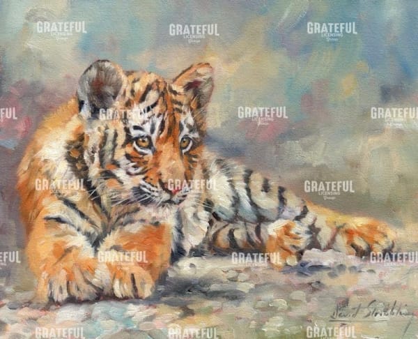 Tiger Cub Lounging