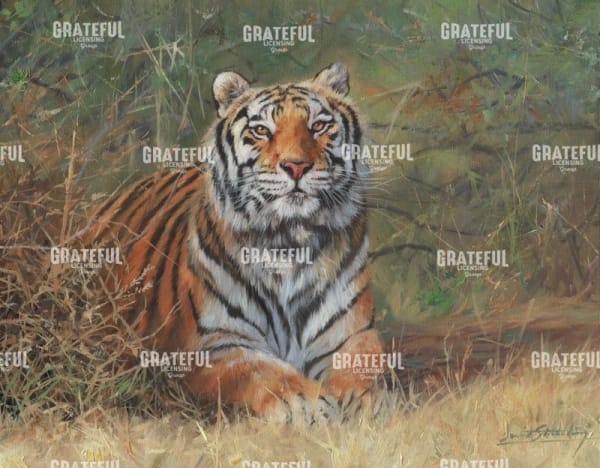 Tiger In Bush