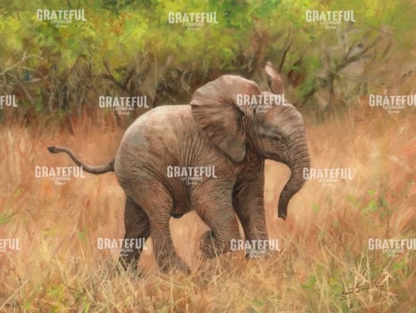 Baby African Elephant