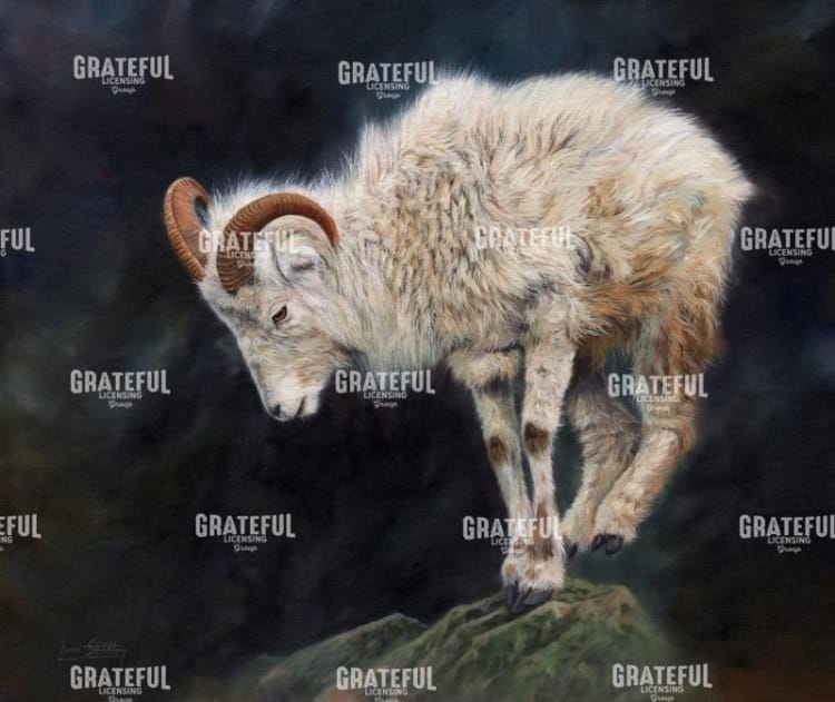 Mountain Goat