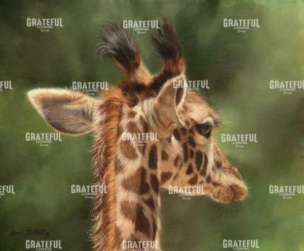 giraffe from behind