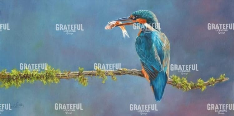 KINGFISHER 3