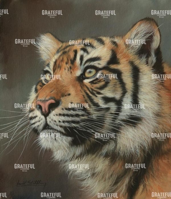 Young Sumatran Tiger Portrait