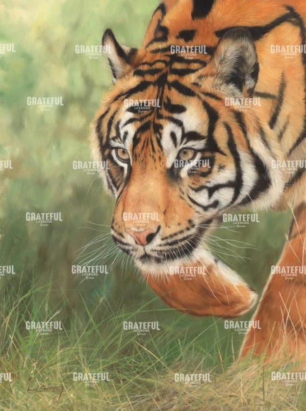 Tiger 8