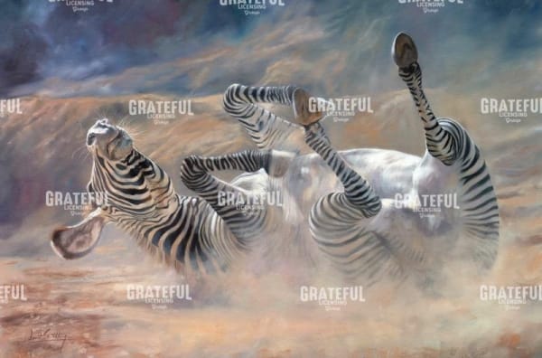 zebra rockin and rollin