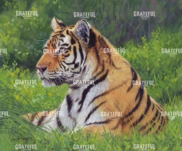 tiger grass