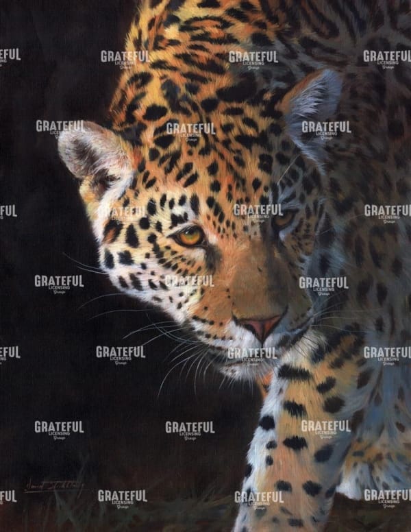 Jaguar Portrait 2